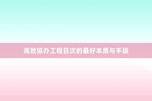 高效惩办工程目次的最好本质与手段