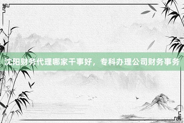 沈阳财务代理哪家干事好，专科办理公司财务事务